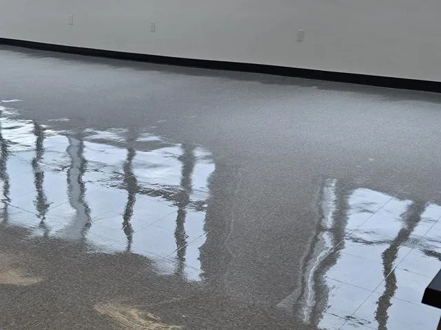 Glossy gray commercial tile floor reflecting large windows
