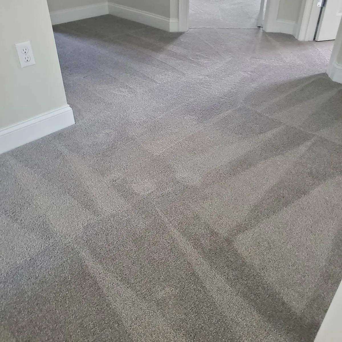 Freshly cleaned gray carpet extending through residential doorways with visible cleaning lines