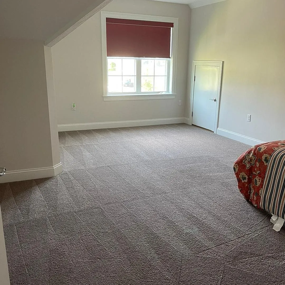 Bright residential room with clean gray carpet, a sunlit window, and a small interior door
